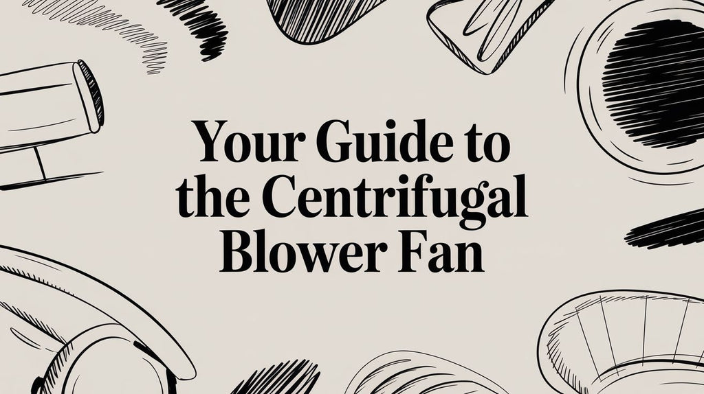 Your Guide to the Centrifugal Blower Fan