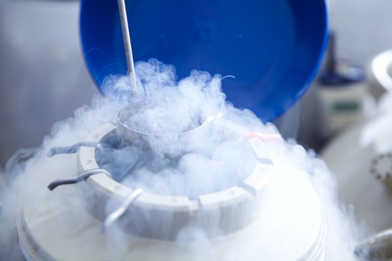 10 Fascinating Facts About Cryogenic Products