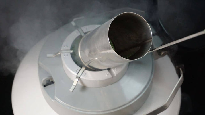 Cryopreservation