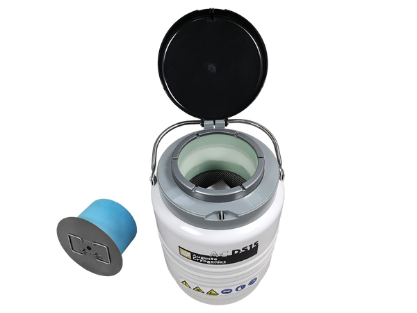 AC DS15-B, Foto 6