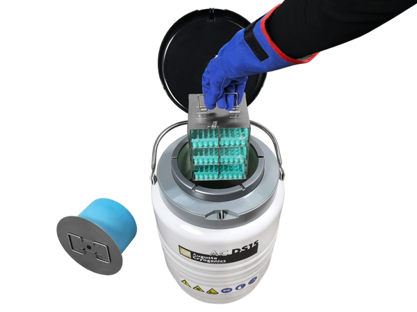 AC DS15-B, Foto 7
