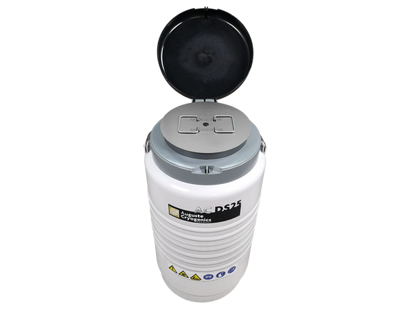 AC DS25-B, Foto 5