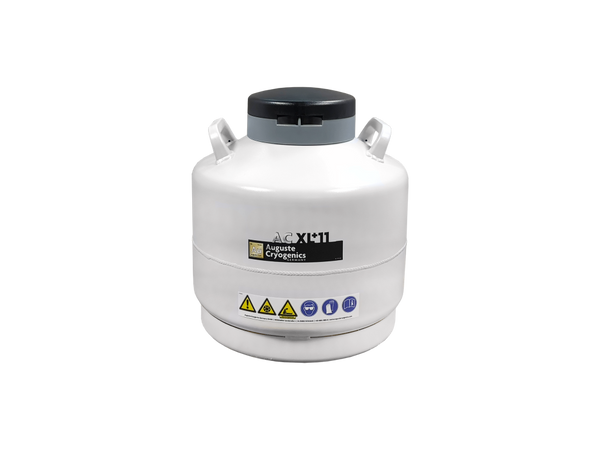 AC XL+11 (10)