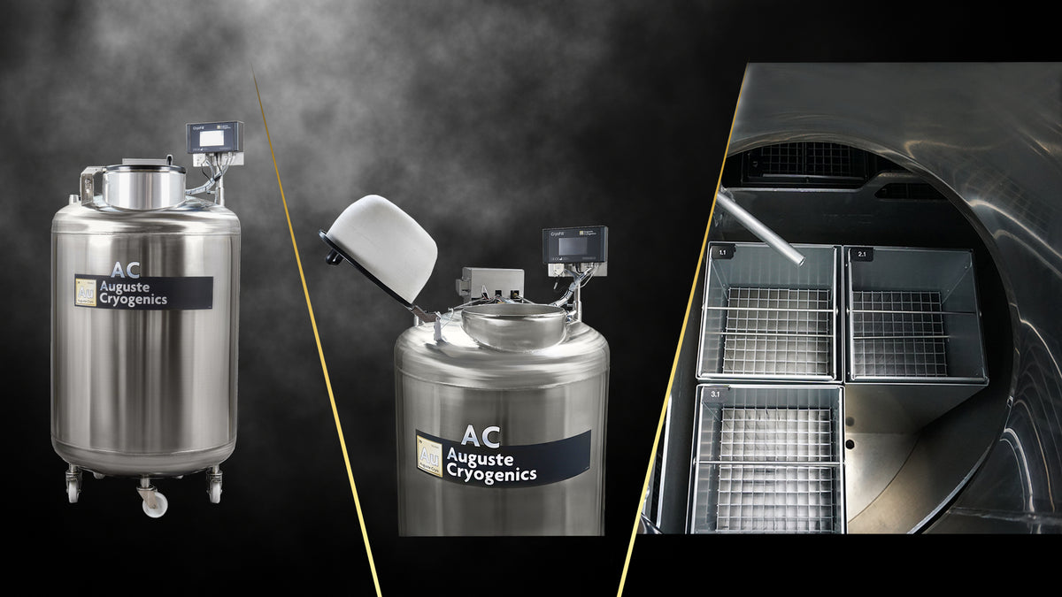 Liquid nitrogen freezer for cell storage, opened lid and view of the racks inside