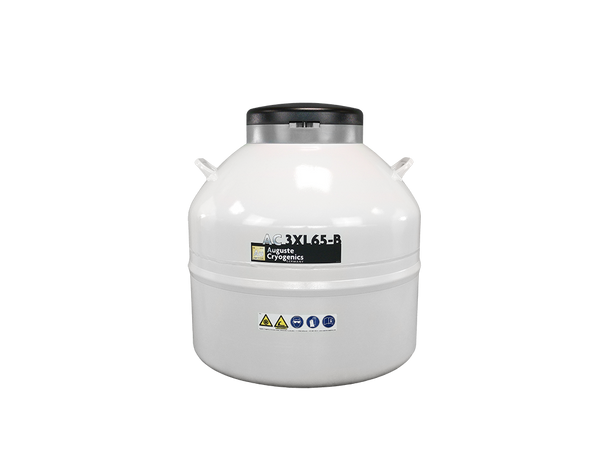 AC 3XL65-B, Foto 2