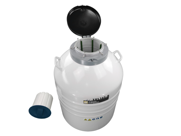 AC 3XL145-B, Foto 6