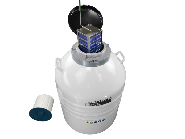 AC 3XL145-B, Foto 7